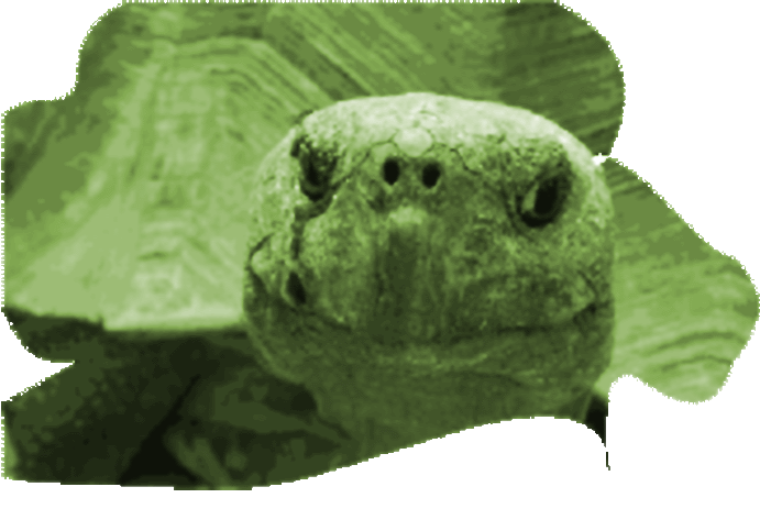 Ньюz для
з.в.и.п.